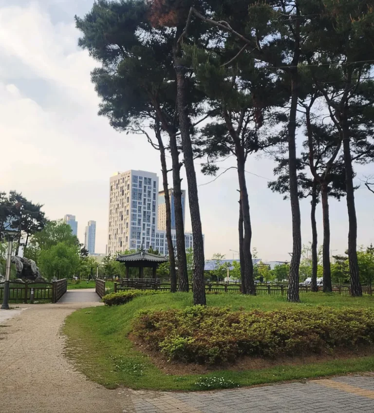 송도 피크닉