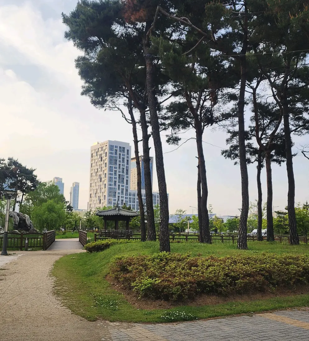 송도 피크닉