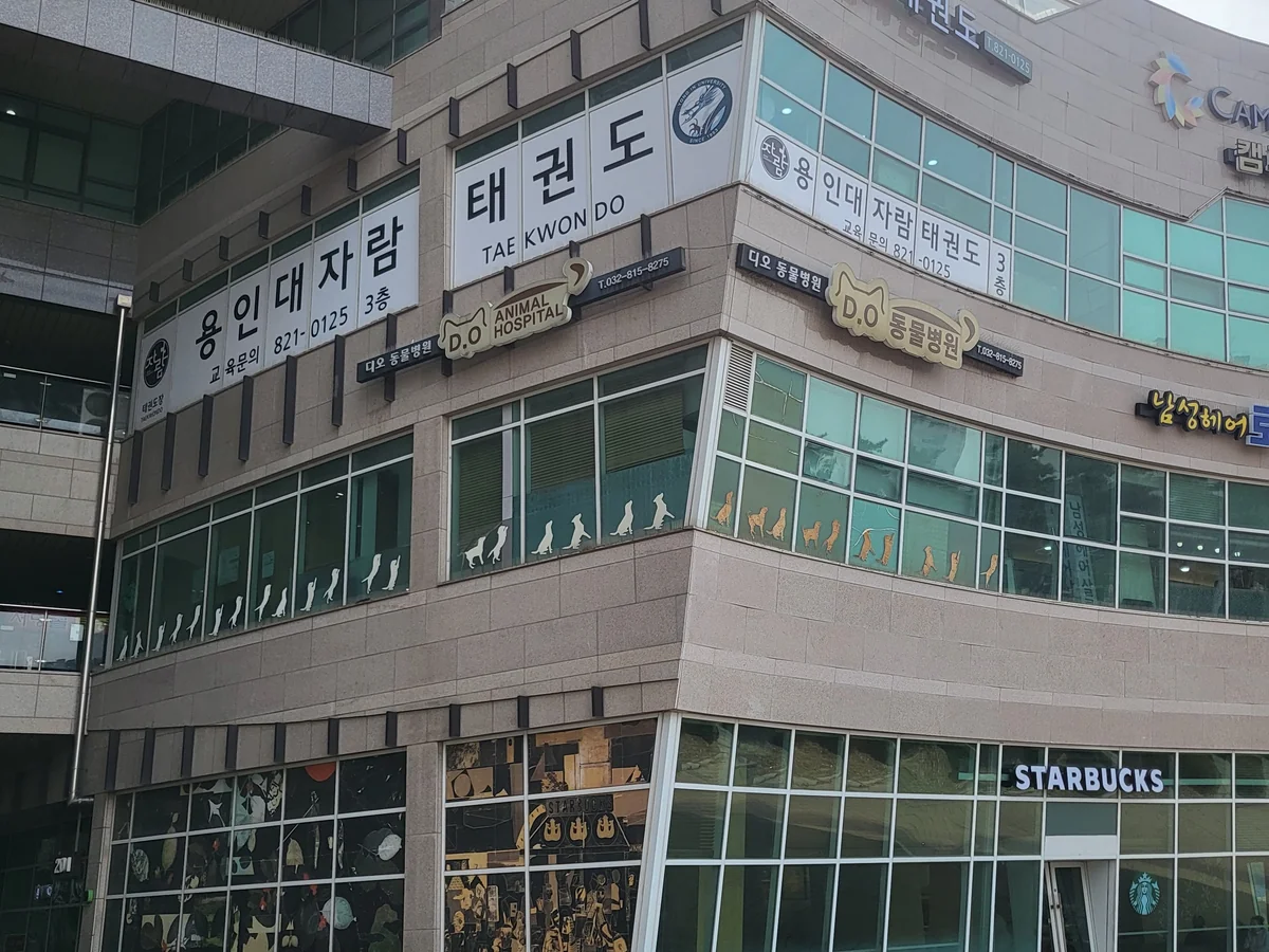 용인대자람태권도장 대표사진