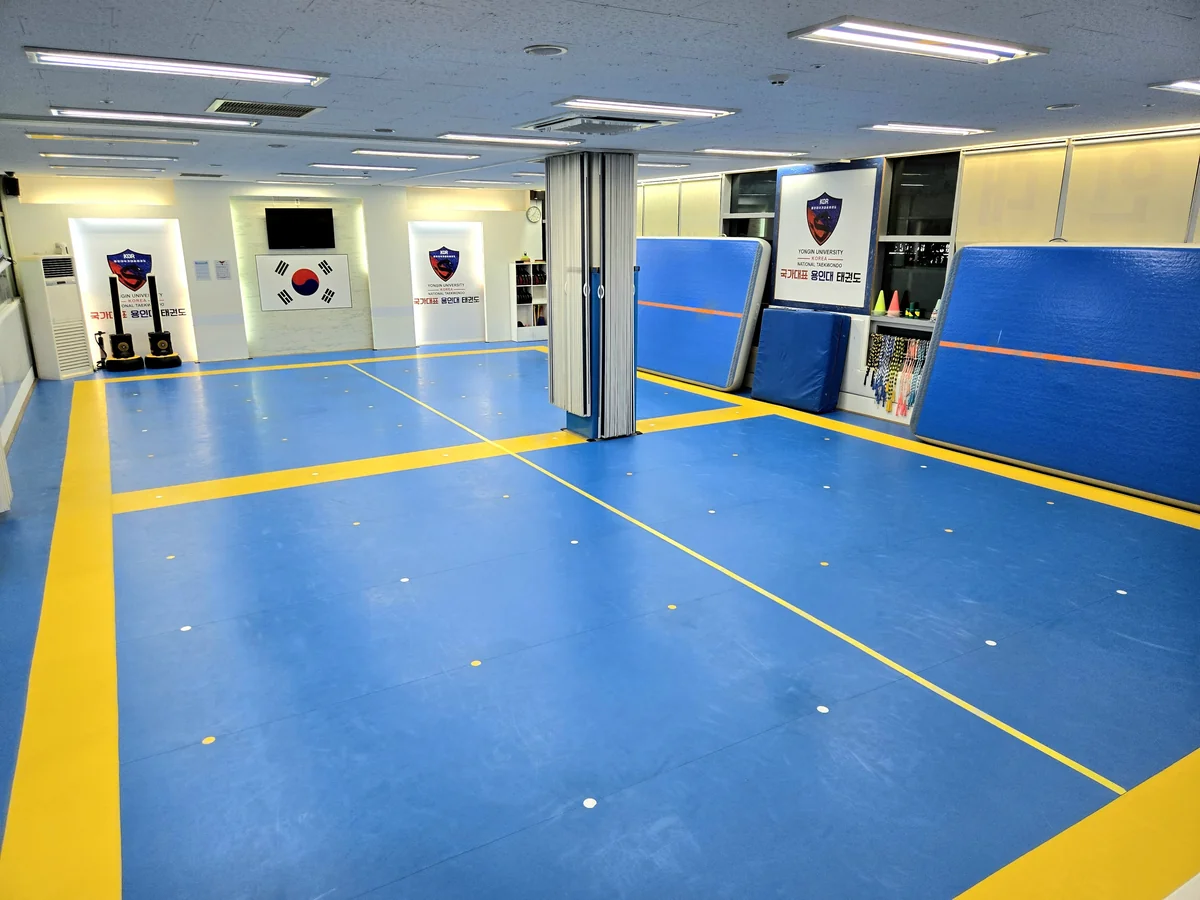 용인대국가대표태권도 대표사진