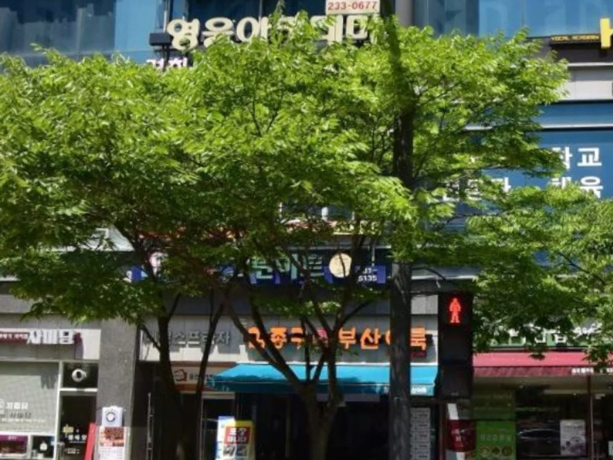 영웅아카데미 제2캠퍼스 대표사진